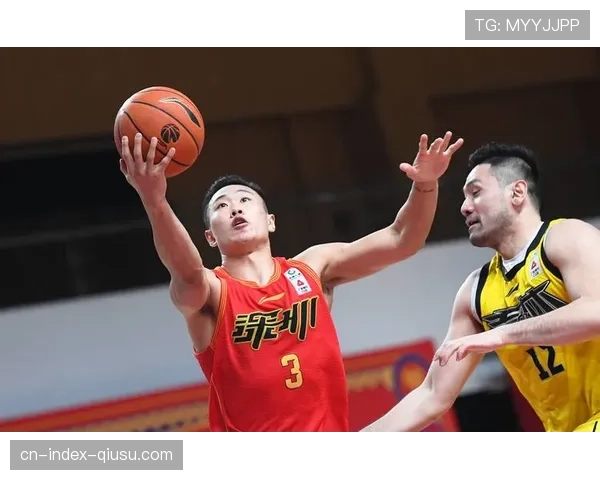 深圳队力克辽宁取关键胜利 贺希宁轰29分率队完成逆袭